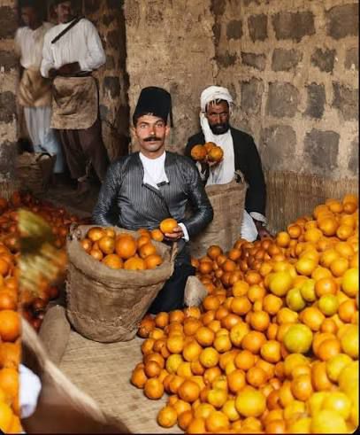 A fruit merchant in old Jaffa, photographed in the marketplace